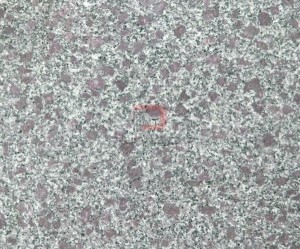Đá Granite tím hoa cà