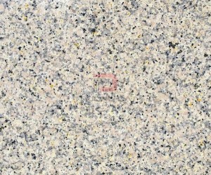 Đá Granite vàng hoa mai Bình Định